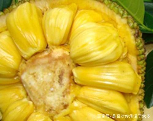 单身男女2（粤语版）