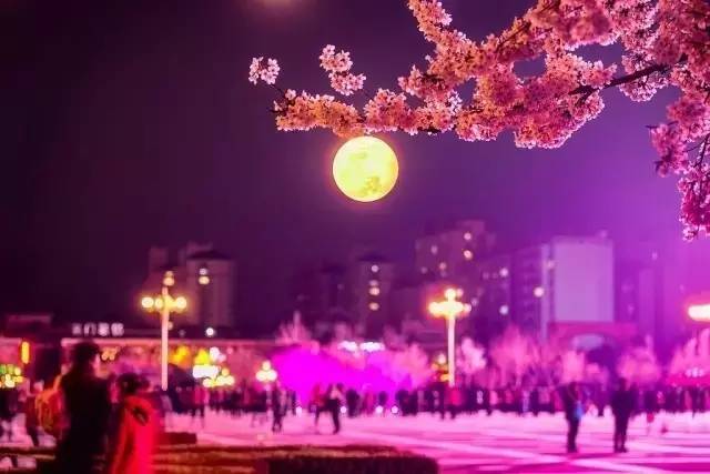 外事警察：不要被那个男人骗了