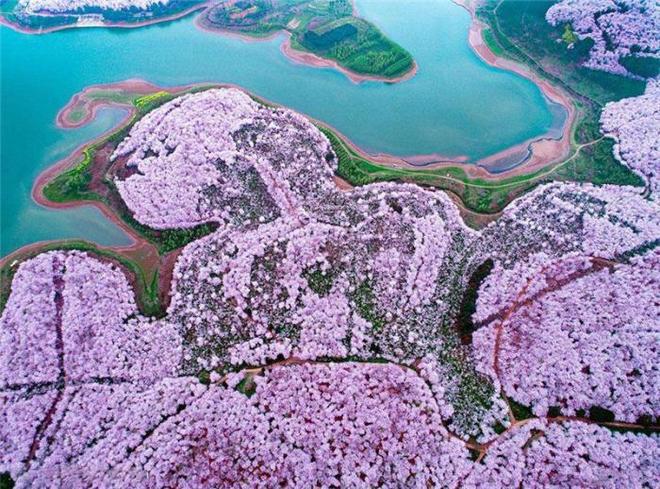 前女友们的幽灵