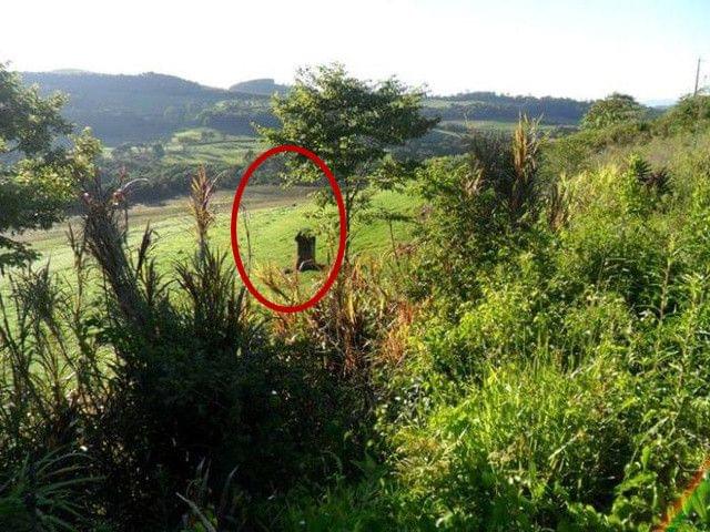 利刃出鞘(国语版)