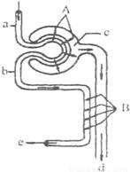 卫斯理之蓝血人（国语版）
