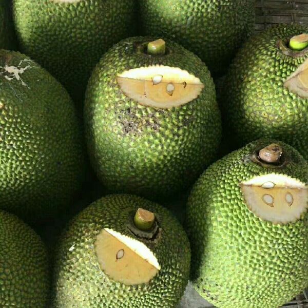 加勒比海盗3：世界的尽头