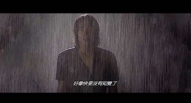 可乐山林之丰收的季节