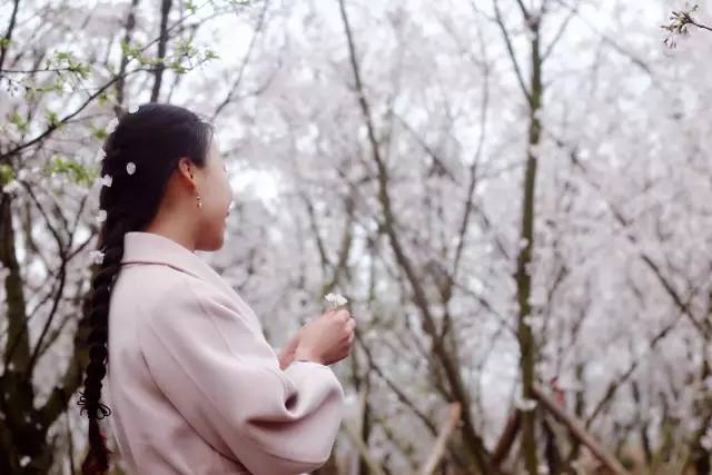 哆啦A梦：大雄与天空的理想乡