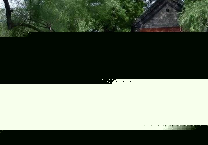 史坦顿岛的夏天