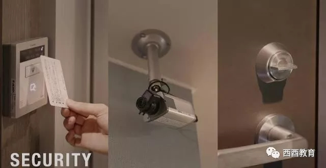 双水村里枣花香