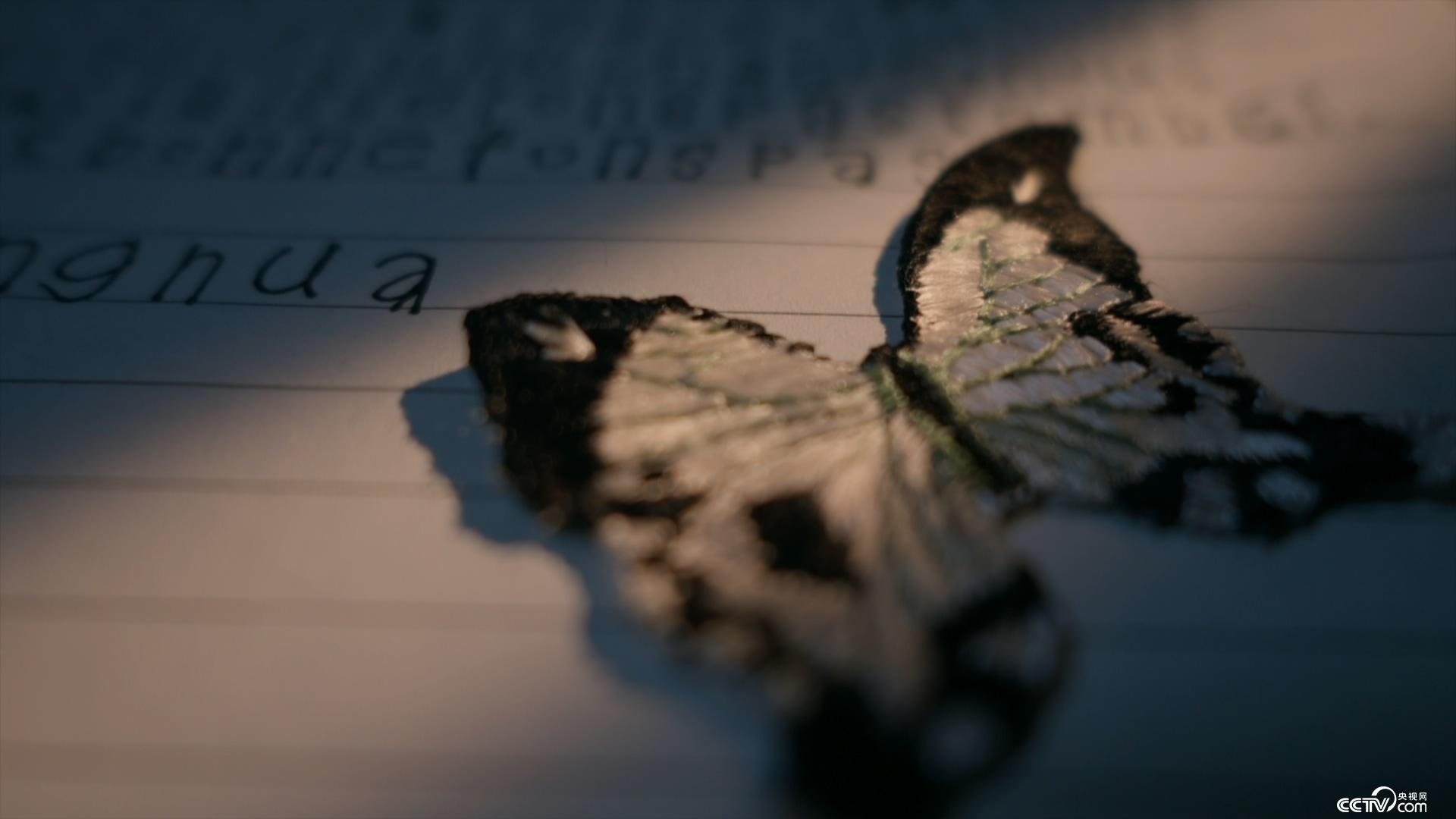 功夫熊猫感恩节特辑