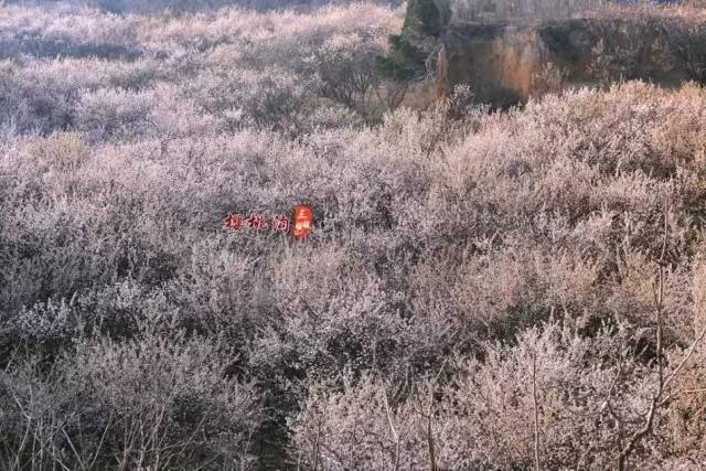 初识与告别之间