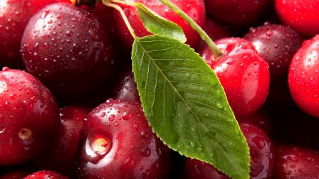 初学者的终极指南