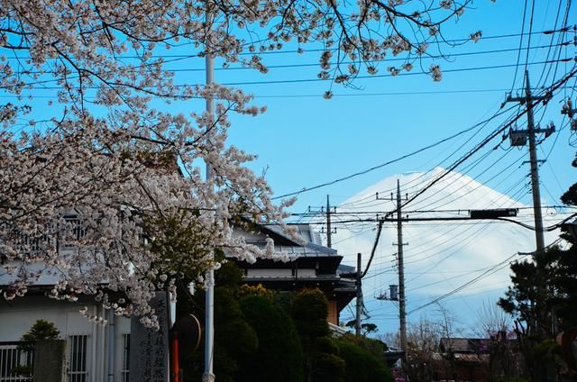 半血缘兄弟（粤语版）