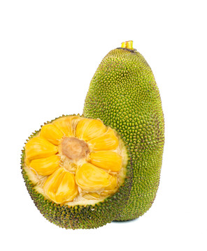 台湾惊魂记：废墟篇